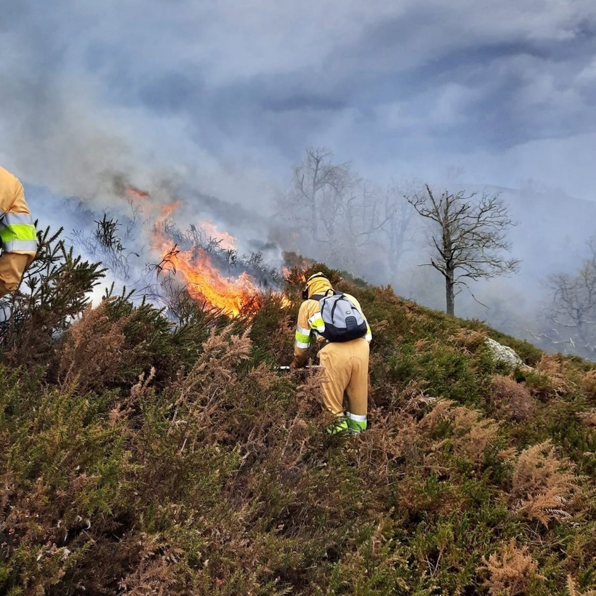 Causas y efectos de los incendios forestales en Cantabria. episode artwork